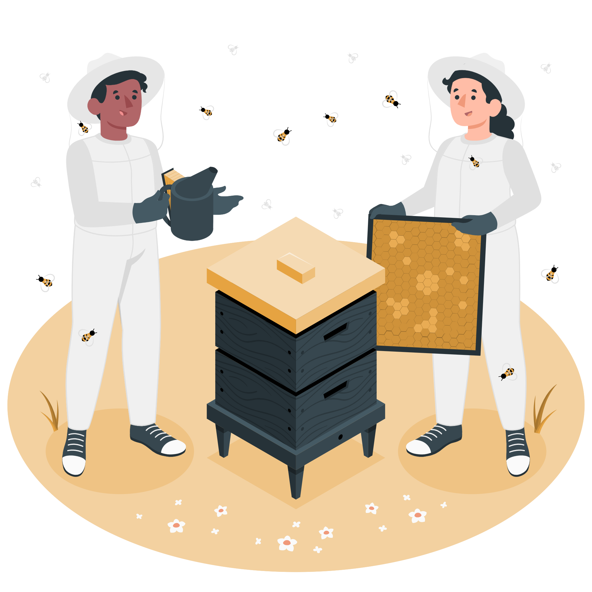 Ilustración de una colmena de abejas sin aguijón